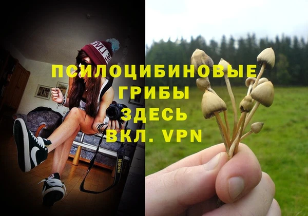 гидра Аркадак
