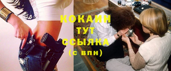 крисы Балахна
