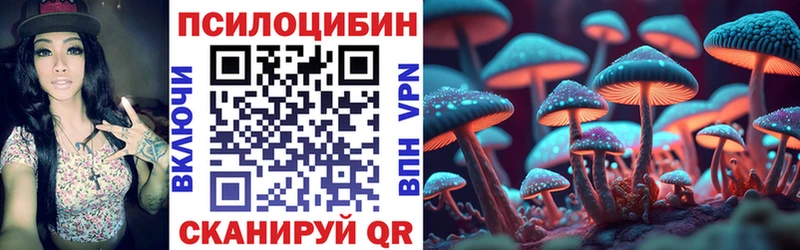 Псилоцибиновые грибы Psilocybine cubensis  Купить  Спасск 